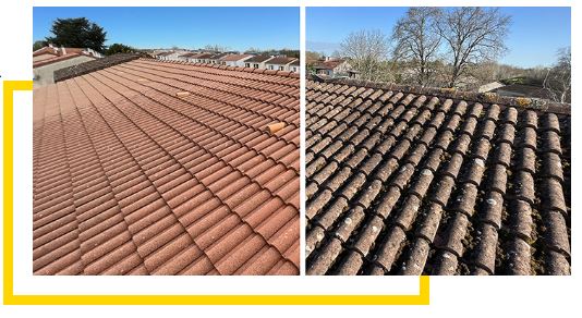 anti mousse 2 artisan couvreur 07